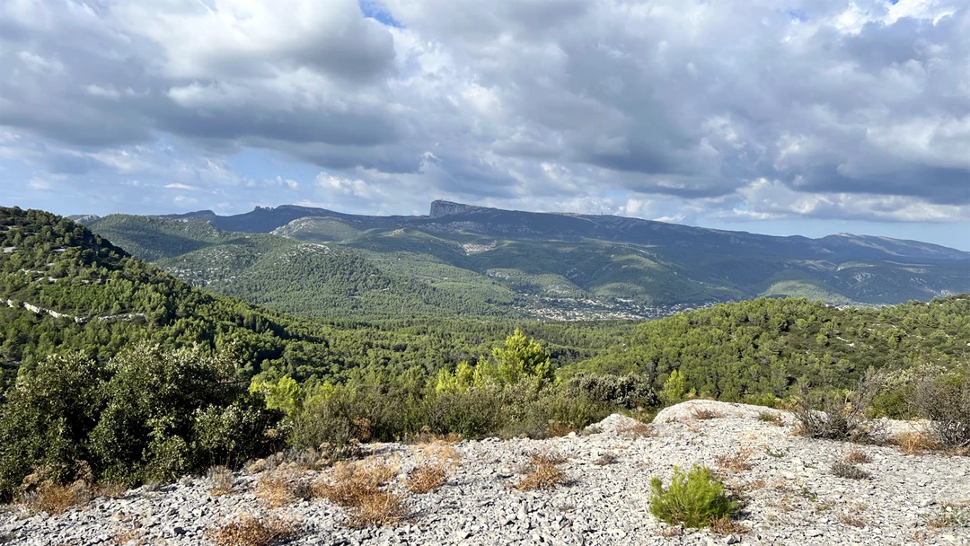 MARCHE -Sortie du 21/09/2026